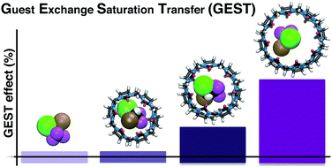 Graphical abstract: Amplifying undetectable NMR signals to study host–guest interactions and exchange