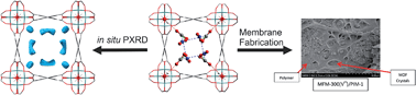 Graphical abstract: Stepwise observation and quantification and mixed matrix membrane separation of CO2 within a hydroxy-decorated porous host