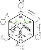 Graphical abstract: A Lewis acid β-diiminato-zinc-complex as all-rounder for co- and terpolymerisation of various epoxides with carbon dioxide