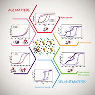 Graphical abstract: Solvent modified spin crossover in an iron(iii) complex: phase changes and an exceptionally wide hysteresis