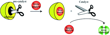 Graphical abstract: Catalyst displacement assay: a supramolecular approach for the design of smart latent catalysts for pollutant monitoring and removal