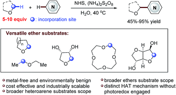 Graphical abstract: Direct Cα-heteroarylation of structurally diverse ethers via a mild N-hydroxysuccinimide mediated cross-dehydrogenative coupling reaction
