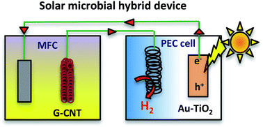 Graphical abstract: A graphene/carbon nanotube biofilm based solar-microbial fuel device for enhanced hydrogen generation