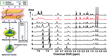 Graphical abstract: A completely controlled sphere-to-bilayer micellar transition: the molecular mechanism and application on the growth of nanosheets