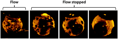 Graphical abstract: Membranes under shear stress: visualization of non-equilibrium domain patterns and domain fusion in a microfluidic device