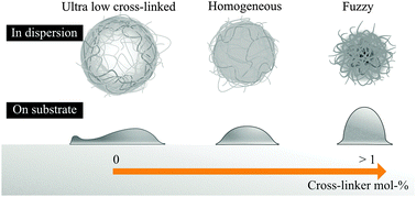 Graphical abstract: Persulfate initiated ultra-low cross-linked poly(N-isopropylacrylamide) microgels possess an unusual inverted cross-linking structure
