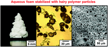 Graphical abstract: Foams stabilized with solid particles carrying stimuli-responsive polymer hairs