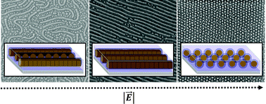 Graphical abstract: Electric field manipulated nanopatterns in thin films of metalorganic 3-miktoarm star terpolymers