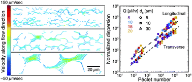 Graphical abstract: Nanoparticle dispersion in disordered porous media with and without polymer additives