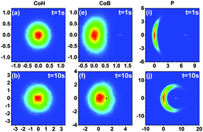 Graphical abstract: Effects of translation–rotation coupling on the displacement probability distribution functions of boomerang colloidal particles