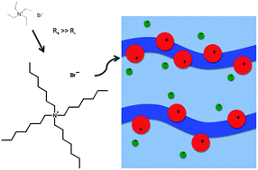 Graphical abstract: Mesoscale ordering in binary aqueous solvents induced by ion size asymmetry