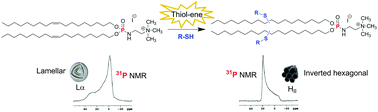 Graphical abstract: Triggering bilayer to inverted-hexagonal nanostructure formation by thiol–ene click chemistry on cationic lipids: consequences on gene transfection