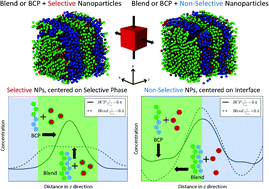 Graphical abstract: Effect of elongational flow on immiscible polymer blend/nanoparticle composites: a molecular dynamics study