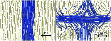 Graphical abstract: Directed peptide amphiphile assembly using aqueous liquid crystal templates in magnetic fields