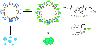 Graphical abstract: Amphiphilic calixresorcinarene associates as effective solubilizing agents for hydrophobic organic acids: construction of nano-aggregates