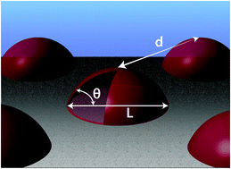 Graphical abstract: Collective and convective effects compete in patterns of dissolving surface droplets