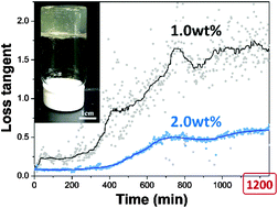 Graphical abstract: In situ characterization of structural dynamics in swelling hydrogels