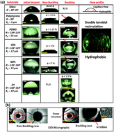 Graphical abstract: Towards universal buckling dynamics in nanocolloidal sessile droplets: the effect of hydrophilic to superhydrophobic substrates and evaporation modes