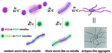Graphical abstract: Self-assembly of polymeric micelles into complex but regular superstructures based on highly controllable core–core fusion between the micelles