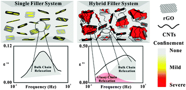 Graphical abstract: Correlating synergistic reinforcement with chain motion in elastomer/nanocarbon hybrids composites