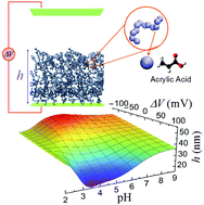 Graphical abstract: Controlling swelling/deswelling of stimuli-responsive hydrogel nanofilms in electric fields