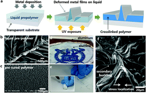 Graphical abstract: The formation and control of highly crumpled metal surfaces on a photocurable viscous liquid