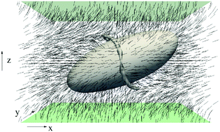 Graphical abstract: Shear dynamics of an inverted nematic emulsion