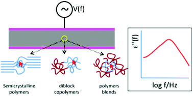 Graphical abstract: Dielectric relaxation of polymers: segmental dynamics under structural constraints