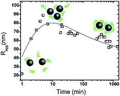 Graphical abstract: Formation and relaxation kinetics of starch–particle complexes