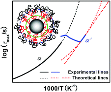 Graphical abstract: Unexpected segmental dynamics in polystyrene-grafted silica nanocomposites