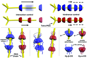 Graphical abstract: Hydroxypropyl-β-CD vs. its α-homologue for a 3D modified polyrotaxane network formation and properties: the relationship between modified CD and polymer revealed through comparison