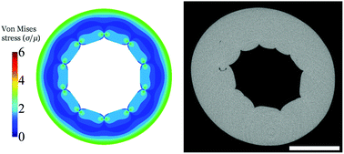 Graphical abstract: Creasing of an everted elastomer tube