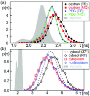 Graphical abstract: Heterogeneity of crowded cellular fluids on the meso- and nanoscale