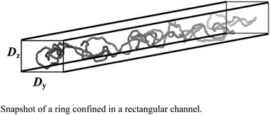 Graphical abstract: Comparison of a stripe and slab confinement for ring and linear macromolecules in nanochannel