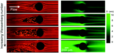 Graphical abstract: Flow of wormlike micellar solutions around confined microfluidic cylinders