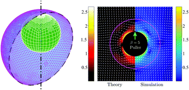 Graphical abstract: Swimming with a cage: low-Reynolds-number locomotion inside a droplet