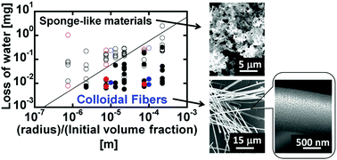 Graphical abstract: Surface freezing and surface coverage as key factors for spontaneous formation of colloidal fibers in vacuum drying of colloidal suspensions