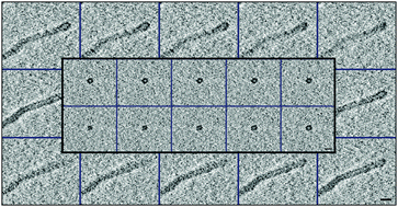 Graphical abstract: Spontaneous formation of nanometer scale tubular vesicles in aqueous mixtures of lipid and block copolymer amphiphiles