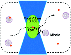 Graphical abstract: Determination of equilibrium and rate constants for complex formation by fluorescence correlation spectroscopy supplemented by dynamic light scattering and Taylor dispersion analysis