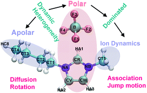 Graphical abstract: Origin of heterogeneous dynamics in local molecular structures of ionic liquids