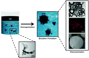 Graphical abstract: Magnetically-active Pickering emulsions stabilized by hybrid inorganic/organic networks