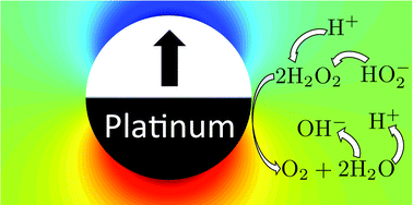 Graphical abstract: Ionic screening and dissociation are crucial for understanding chemical self-propulsion in polar solvents