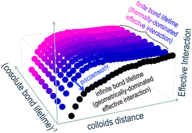 Graphical abstract: Discontinous change from thermally- to geometrically-dominated effective interactions in colloidal solutions