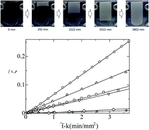 Graphical abstract: Study of plasma coagulation induced by contact with calcium chloride solution