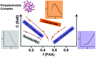 Graphical abstract: Early stage kinetics of polyelectrolyte complex coacervation monitored through stopped-flow light scattering