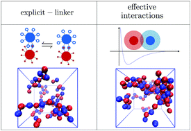 Graphical abstract: Bond formation kinetics affects self-assembly directed by ligand–receptor interactions