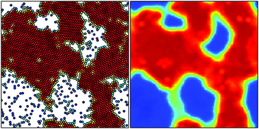 Graphical abstract: Phase separation and coexistence of hydrodynamically interacting microswimmers