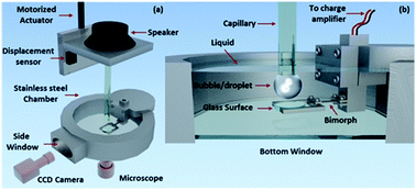 Graphical abstract: Simultaneous measurement of dynamic force and spatial thin film thickness between deformable and solid surfaces by integrated thin liquid film force apparatus