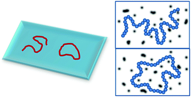 Graphical abstract: Interfacial diffusion of a single cyclic polymer chain