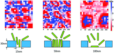 Graphical abstract: Confinement effect on the structure and elasticity of proteins interfacing polymers